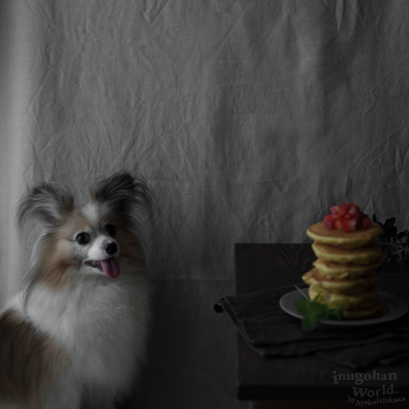 季節外れのいちごパンケーキの話 とホットケーキミックスは犬ごはん 犬おやつに使っていい よくない 犬ごはん先生いちかわあやこ Official Web Site