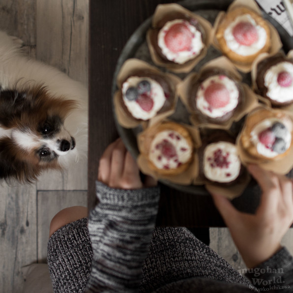 デコレーションカップシフォンケーキ 手作り犬おやつレシピ 犬ごはん先生いちかわあやこ Official Web Site