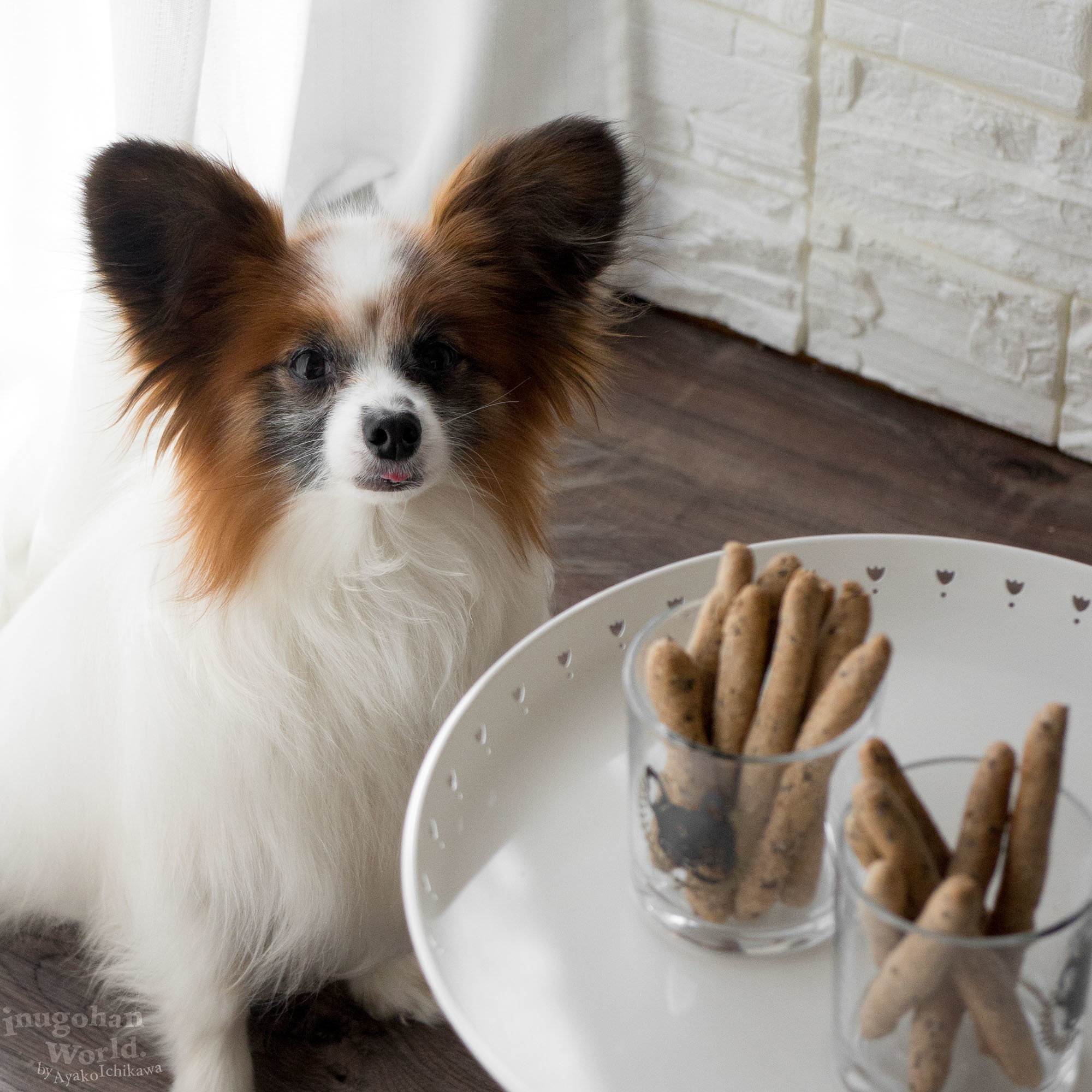 いつものクッキー をリッチにアレンジ 砂糖不使用ブルーベリージャムのクッキーサンド 手作り犬おやつレシピ 犬ごはん先生いちかわあやこ Official Web Site