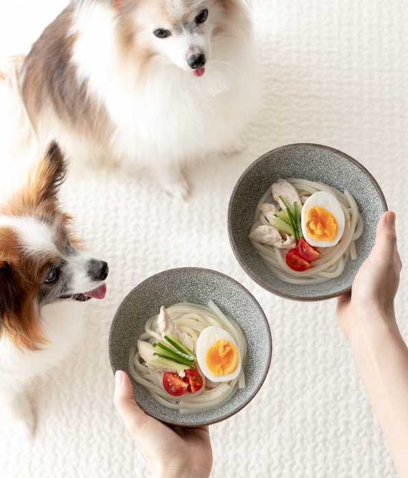 簡単レンジ調理 冷凍うどんで作る冷麺 手作り犬おやつレシピ 犬ごはん先生いちかわあやこ Official Web Site