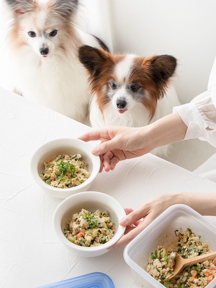 d6c8a9702b959a20ffa800401582b8