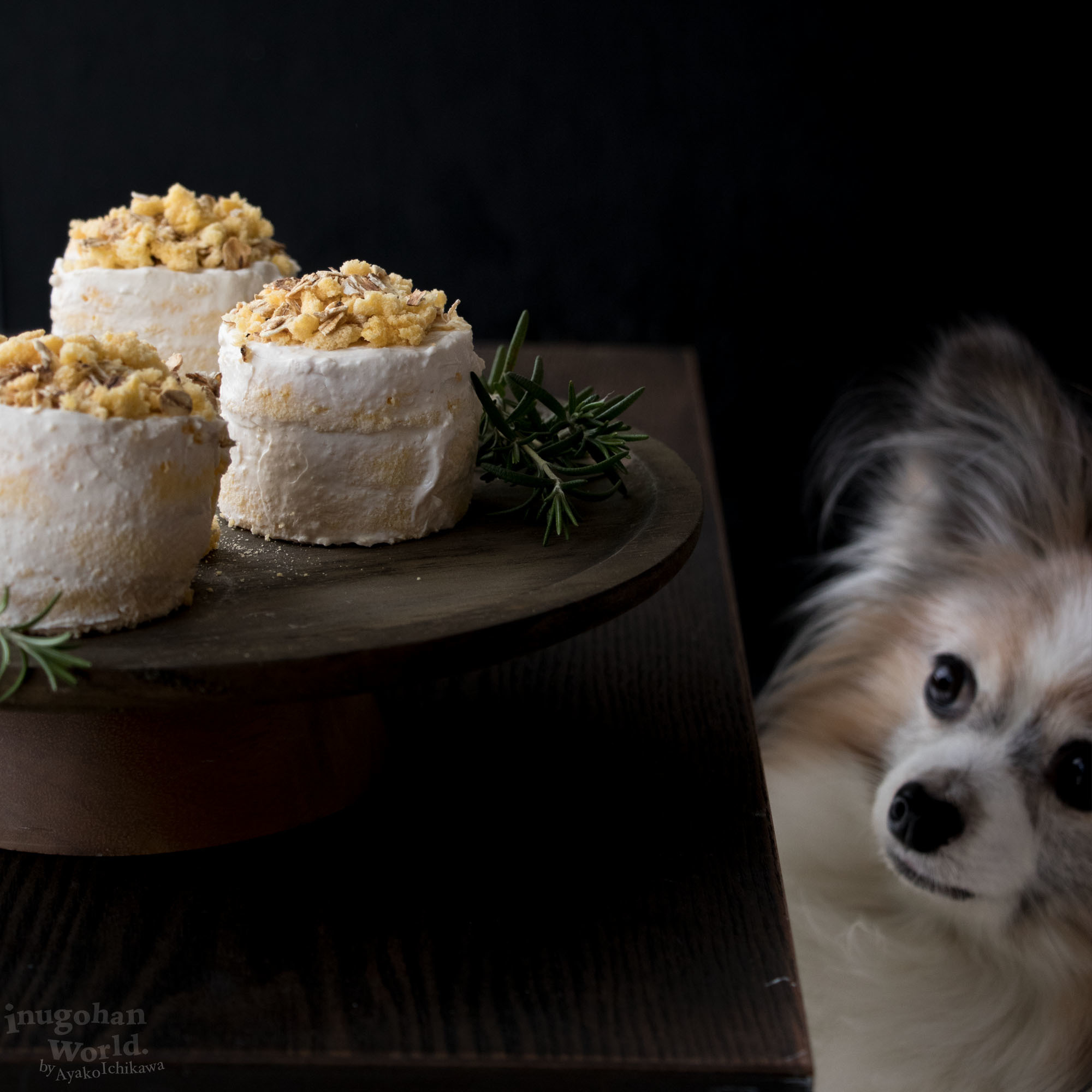 お豆腐でしゅわしゅわ ミニカップシフォンケーキ 手作り犬おやつレシピ 犬ごはん先生いちかわあやこ Official Web Site