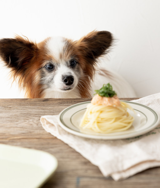 犬おやつオンラインレシピブック レシピリスト 犬ごはん先生いちかわあやこ Official Web Site