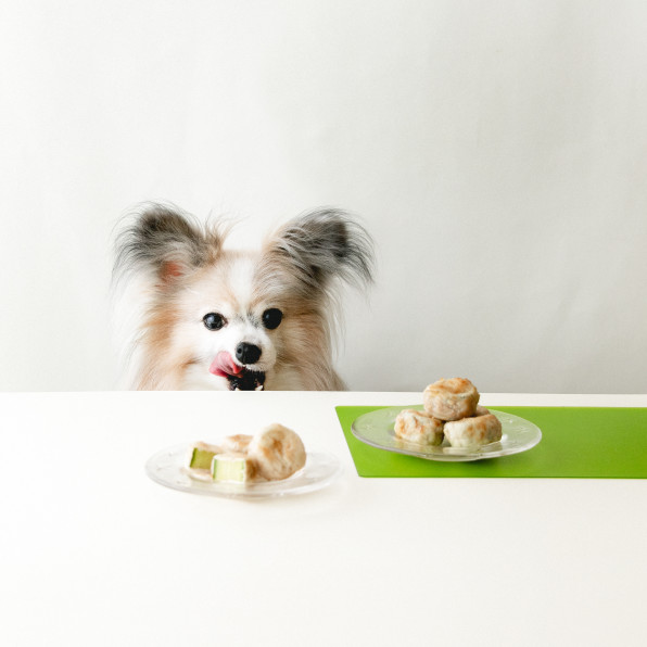 食感を楽しむ きゅうりの豚巻きサイコロステーキ 手作り犬おやつレシピ 犬ごはん先生いちかわあやこ Official Web Site