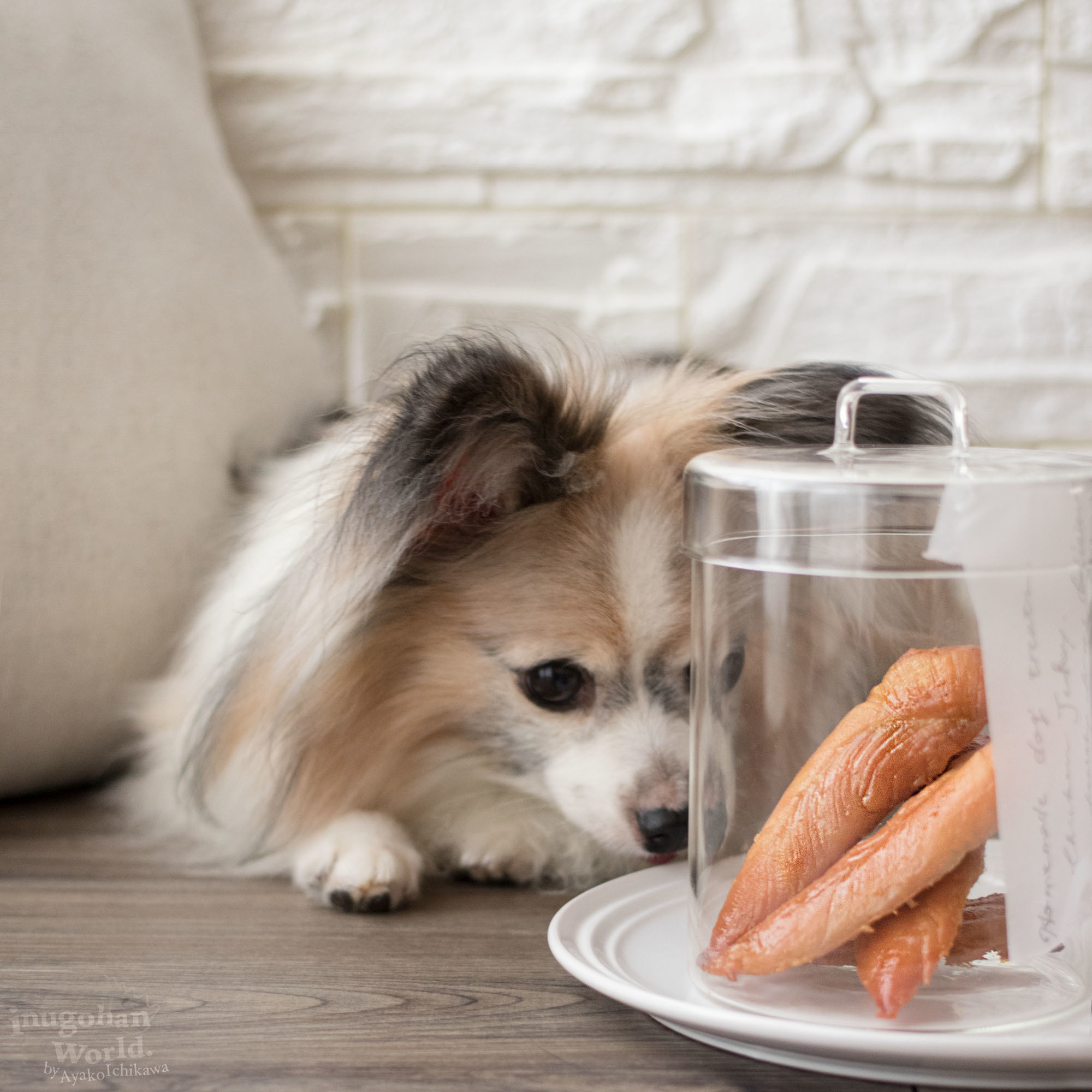 手でちぎってあげられる ささみ丸ごとソフトジャーキー 手作り犬おやつレシピ 犬ごはん先生いちかわあやこ Official Web Site