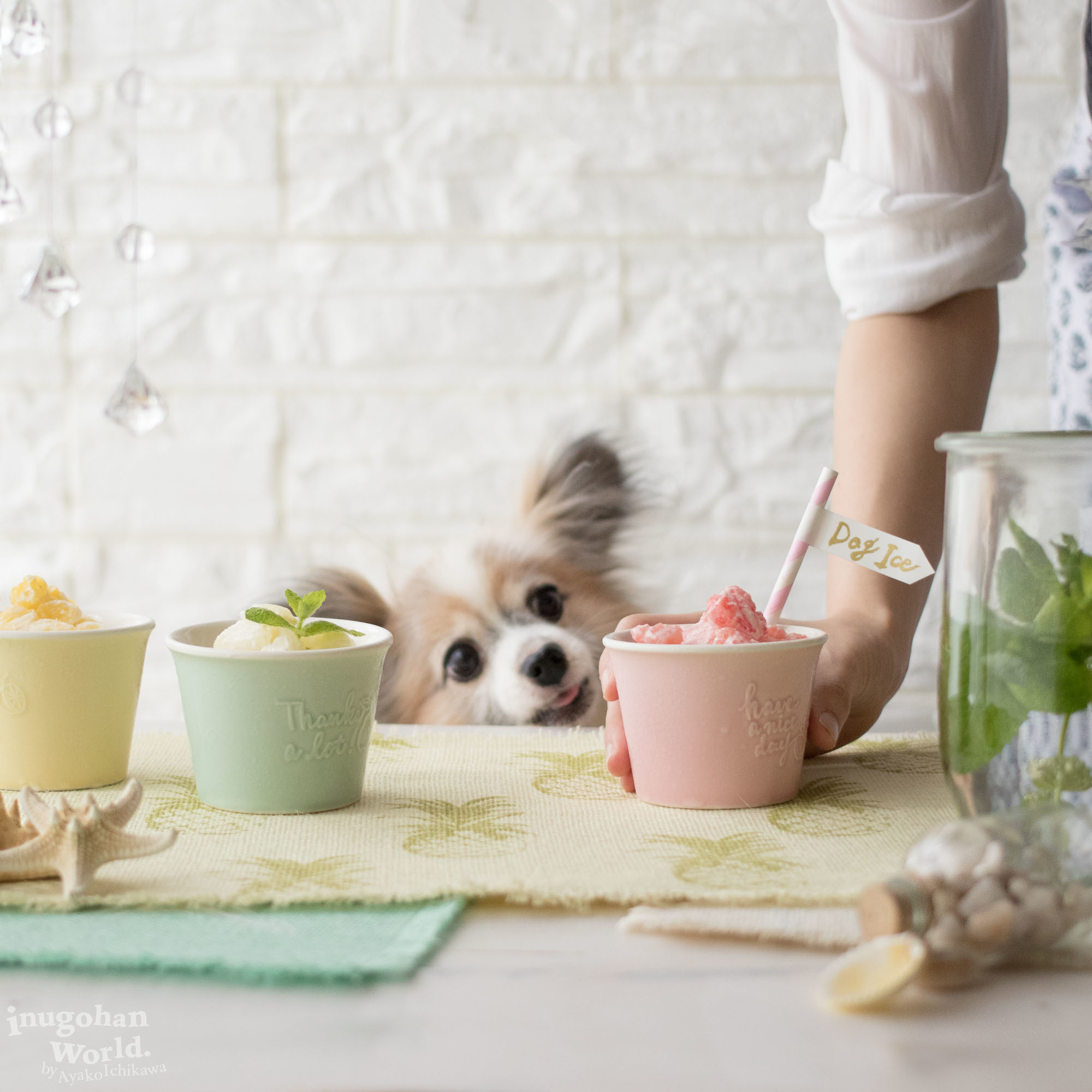 犬にパイナップルを与える健康へのメリットと注意点 All About掲載 犬ごはん先生いちかわあやこ Official Web Site