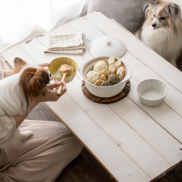 犬用手作りおでんレシピ はんぺん ちくわ つみれ がんも 犬ごはん先生いちかわあやこ Official Web Site