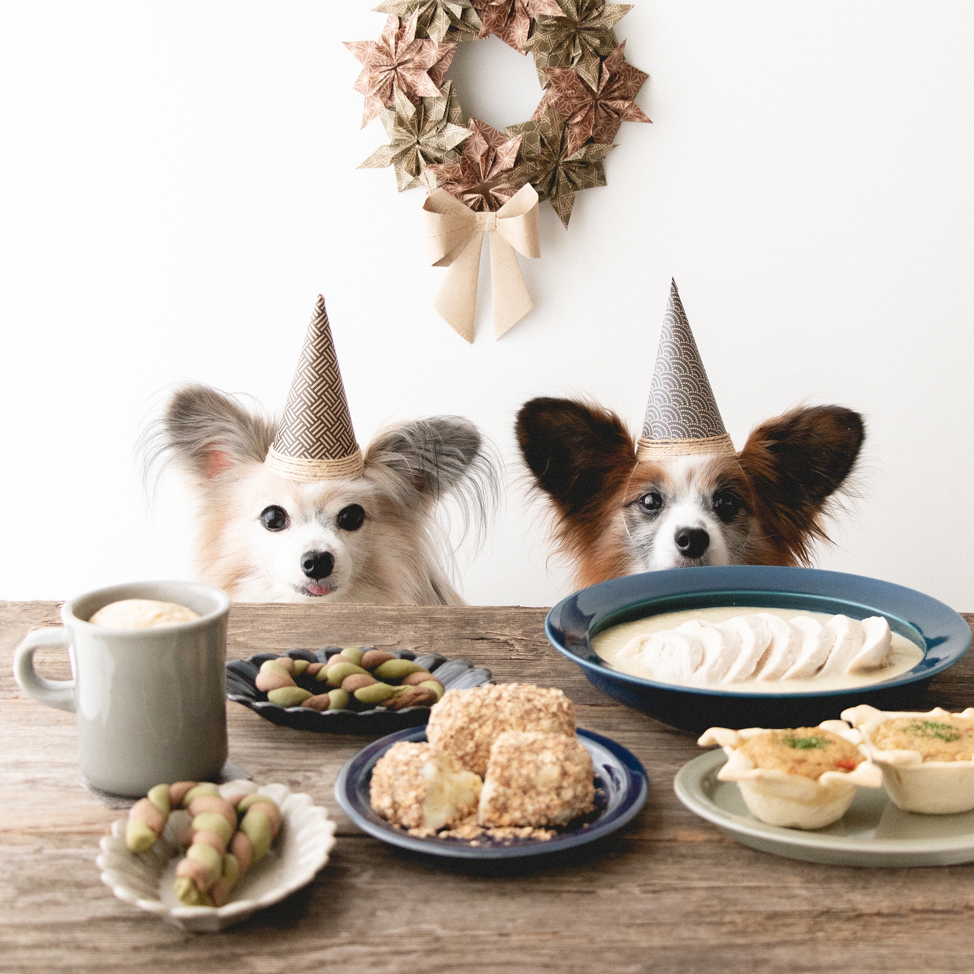 簡単ヘルシー 和テイストのクリスマス犬ごはんと犬おやつのレシピまとめ 犬ごはん先生いちかわあやこ Official Web Site