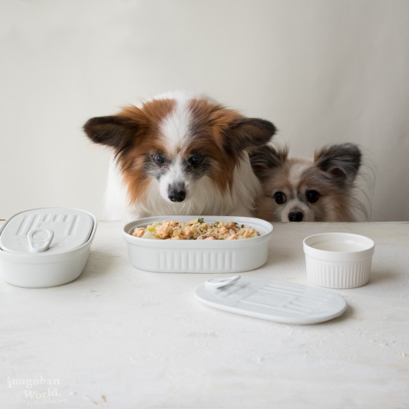 月額限定 サーモンとポテト かぶや野菜の作り置き犬ごはん 手作り犬ごはんレシピ 犬ごはん先生いちかわあやこ Official Web Site