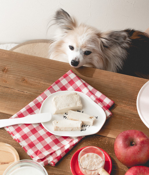 フルーツを使った犬のおやつレシピ 犬ごはん先生いちかわあやこ Official Web Site フルーツを使った犬のおやつレシピ 犬ごはん先生いちかわあやこ Official Web Site