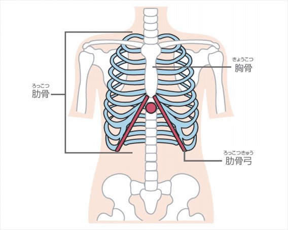 歪んだ胸郭は呼吸にも影響が 骨格美矯正 Privatesalon 441
