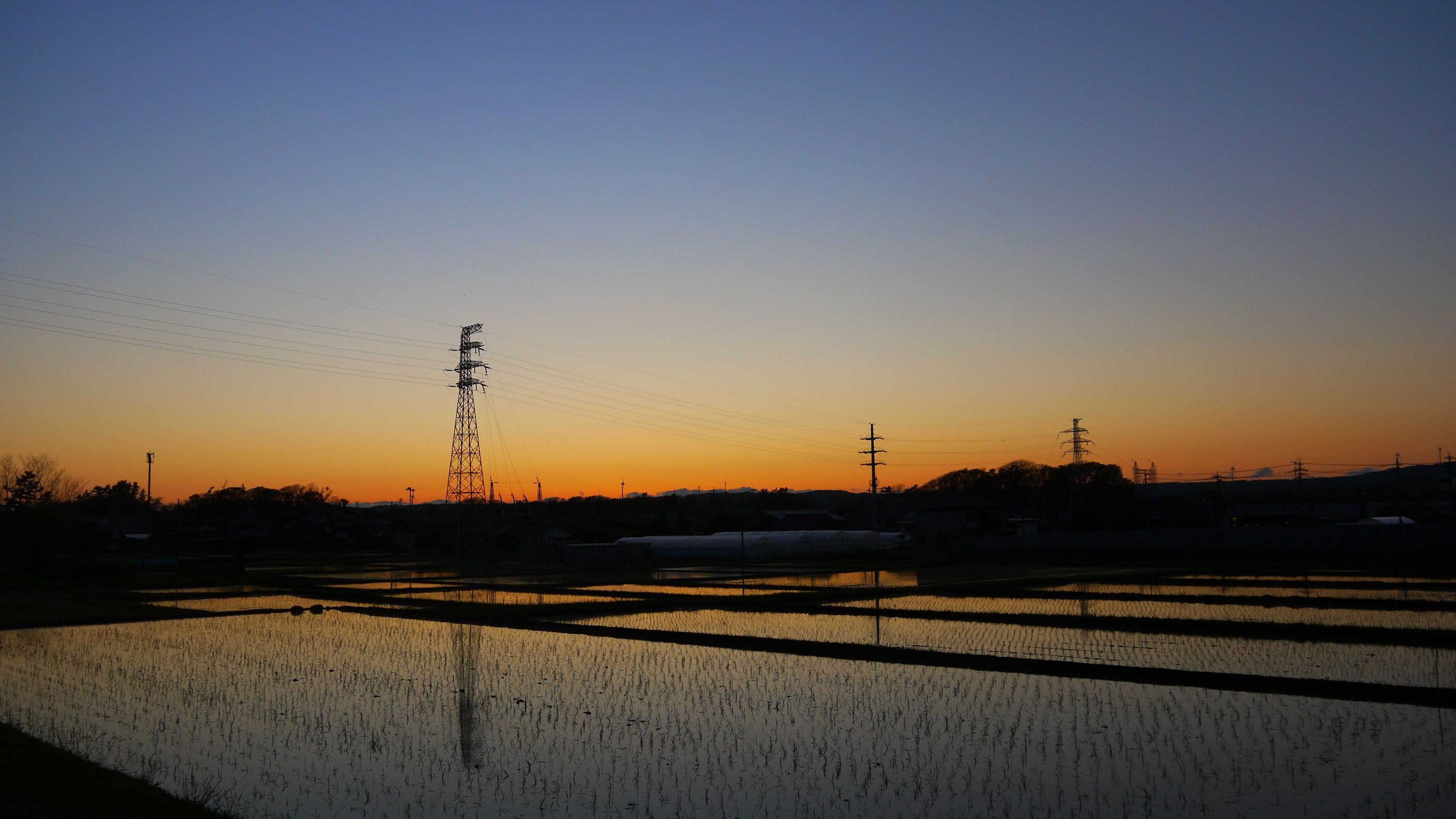 無くした銀貨 聖イエス会聖霊教会