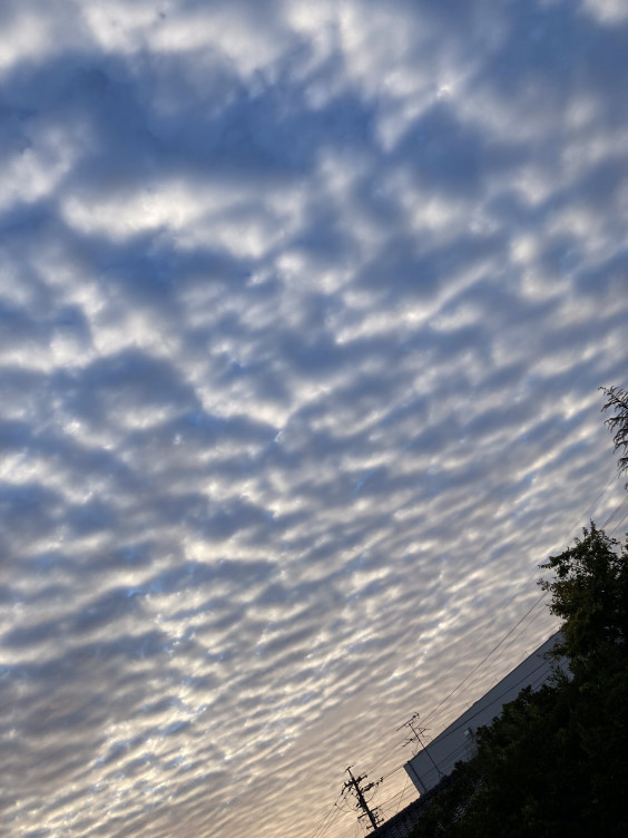 新しいコレクション 幸せ に なる 画像 空 ネット上のトレンド画像