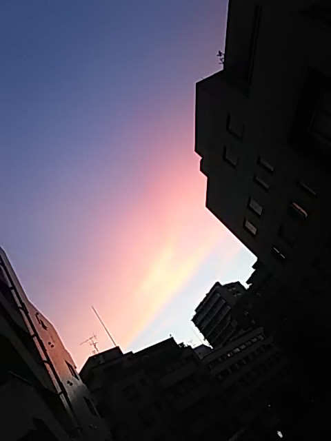 一瞬の光景 美coming 一瞬の光景 美coming