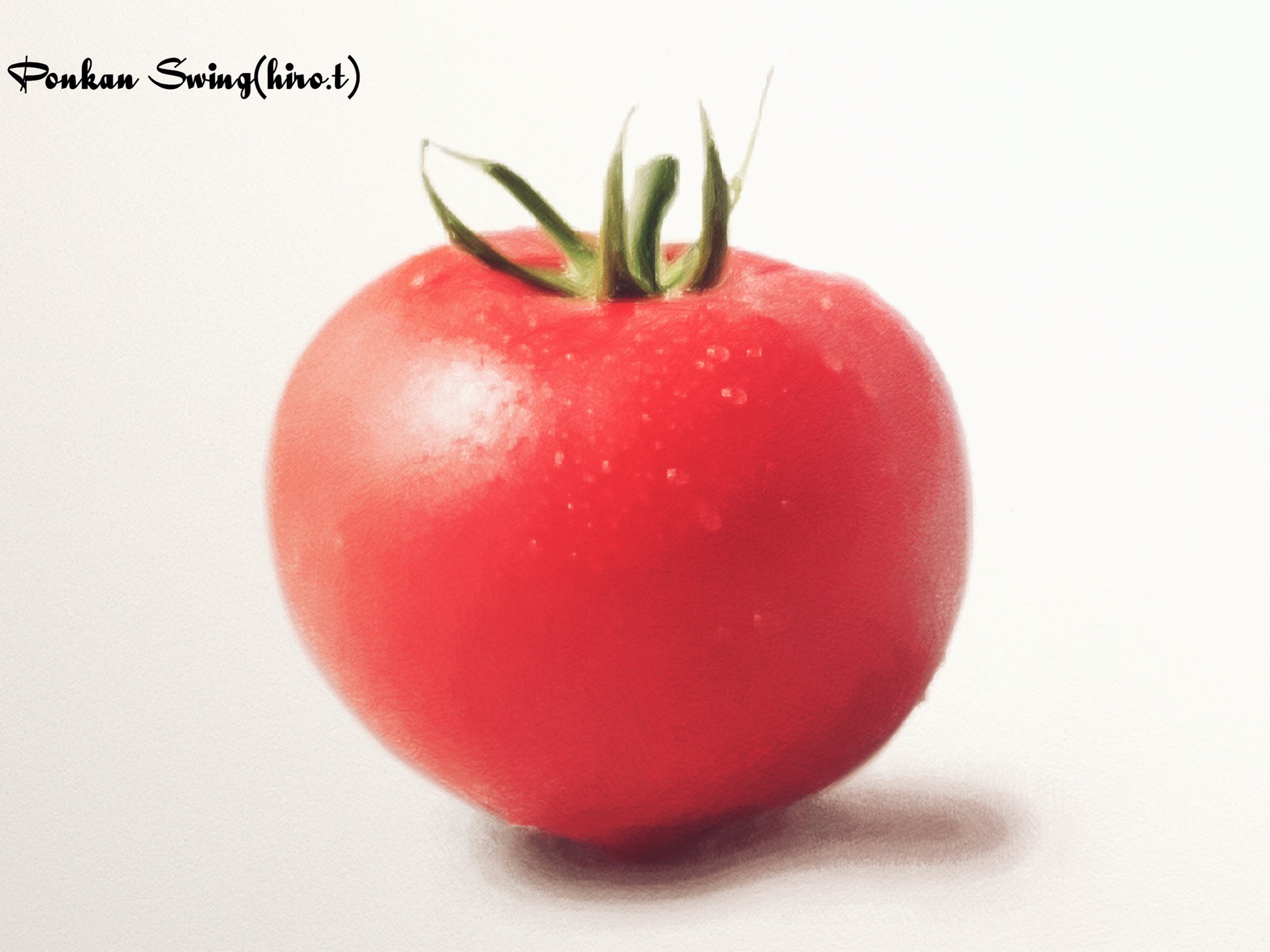 プッチトマト★ プチトマト♪220925 / 脂身通信Z ( aburami_z )のクッション