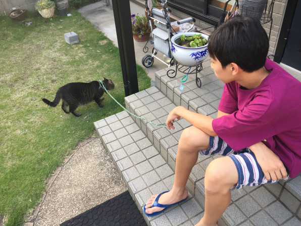 祖父から曾孫に伝承された猫の散歩 野本あつし 岡崎市議会議員 Official Ownd