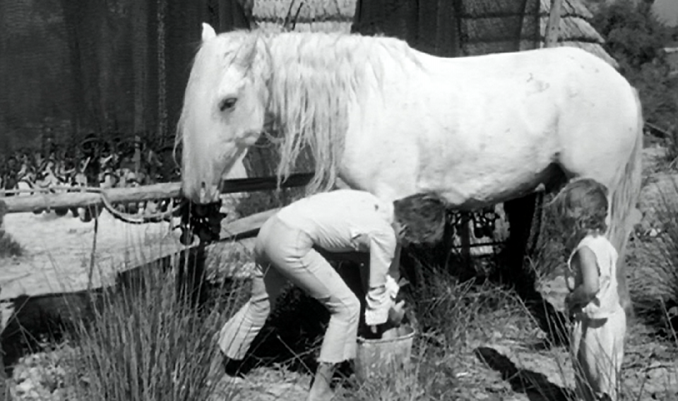 映画 赤い風船 白い馬 日常性の地平