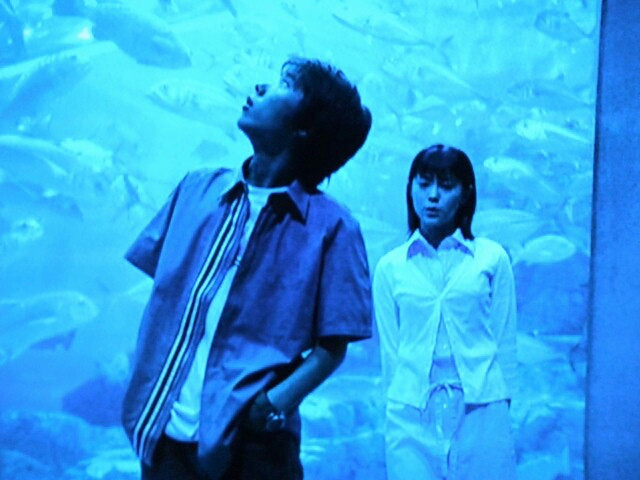 映画 青の炎 日常性の地平