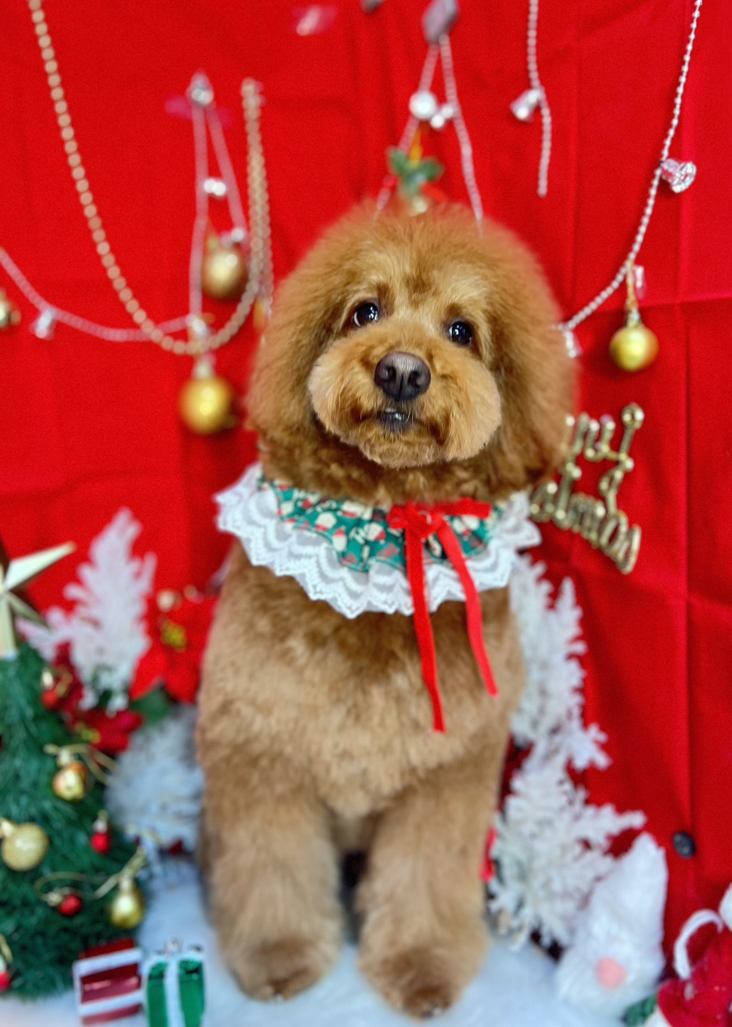 Team Jumis World Jumi sWorld Blog