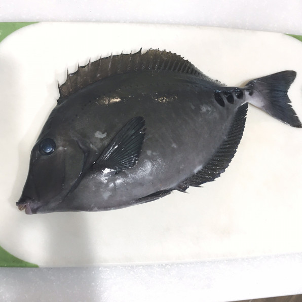 新鮮魚のお刺身 楽しみ方色々 大田区久が原の家庭料理教室 Michiko S Cooking