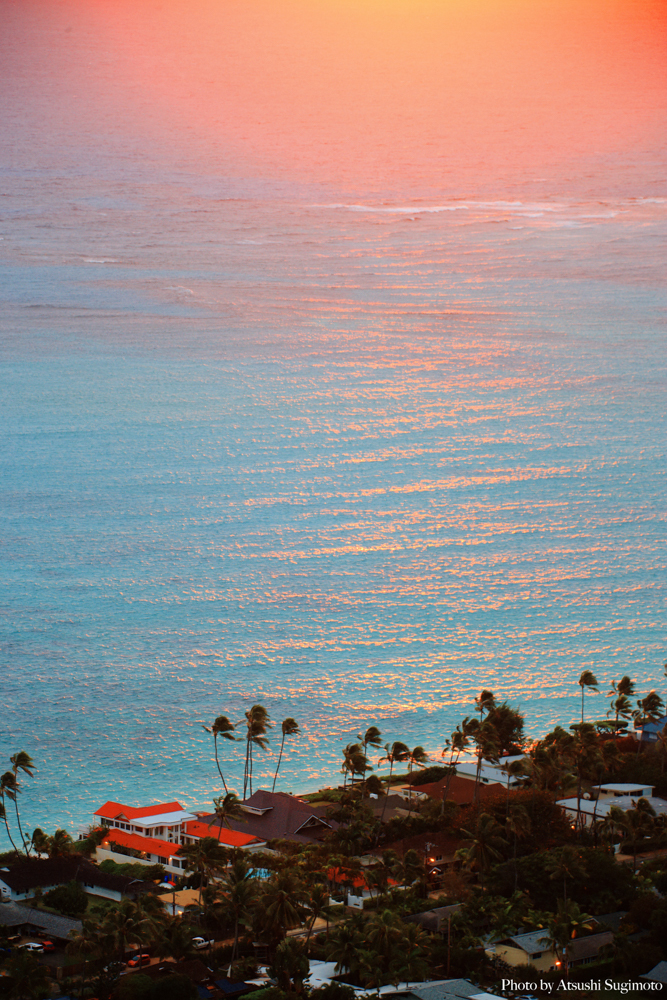 ATSUSHI SUGIMOTO PHOTOGRAPHY Hawaii 送料 無料 通販