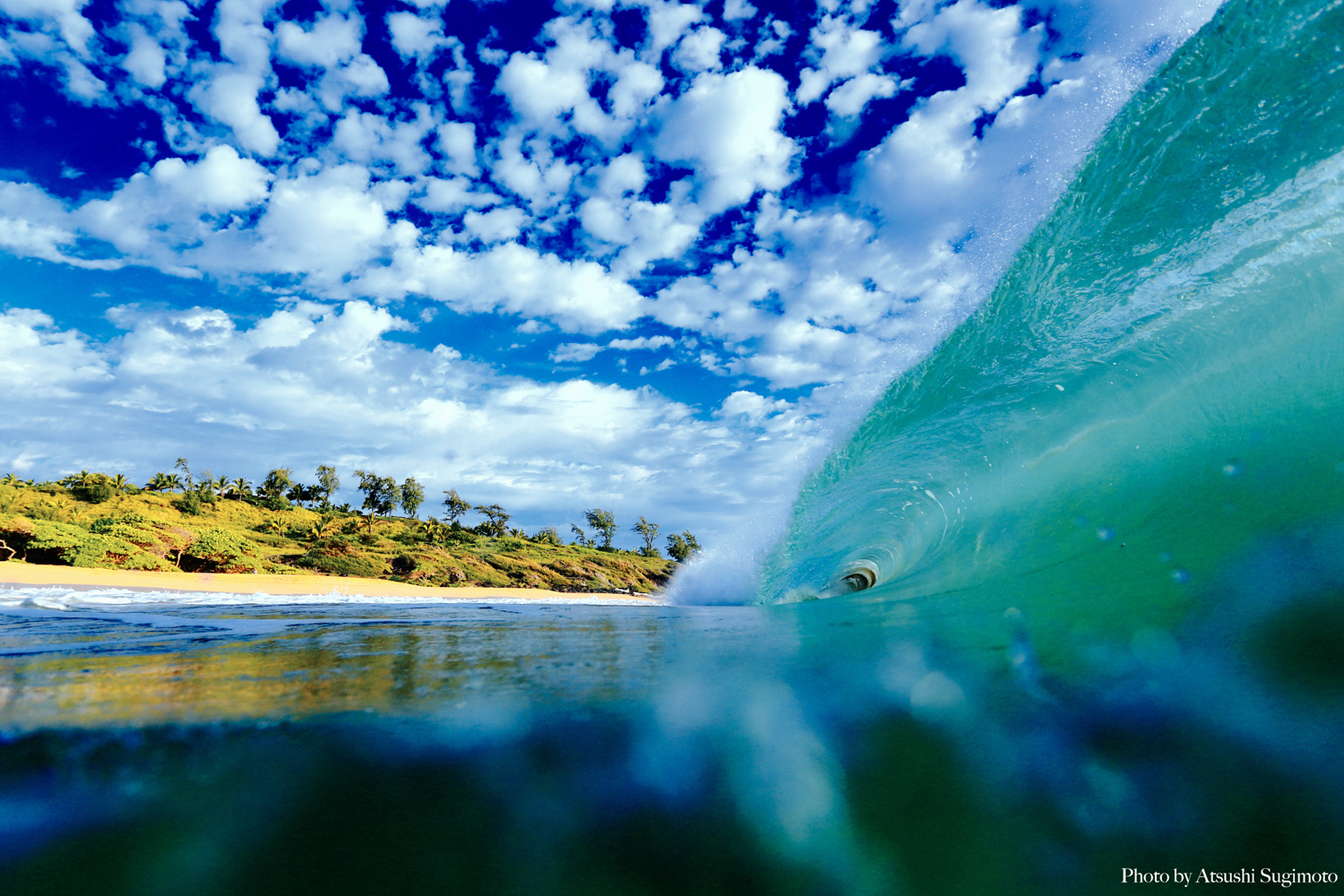 ATSUSHI SUGIMOTO PHOTOGRAPHY Hawaii 送料 無料 通販