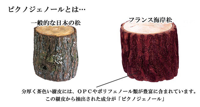ピクノジェノール Mutenkasaron Uka ピクノジェノール Mutenkasaron Uka