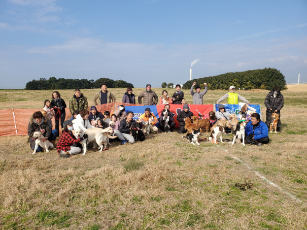 ２月犬遊び塾終了しました ありがとうございました Japan Dog Sport Kansai