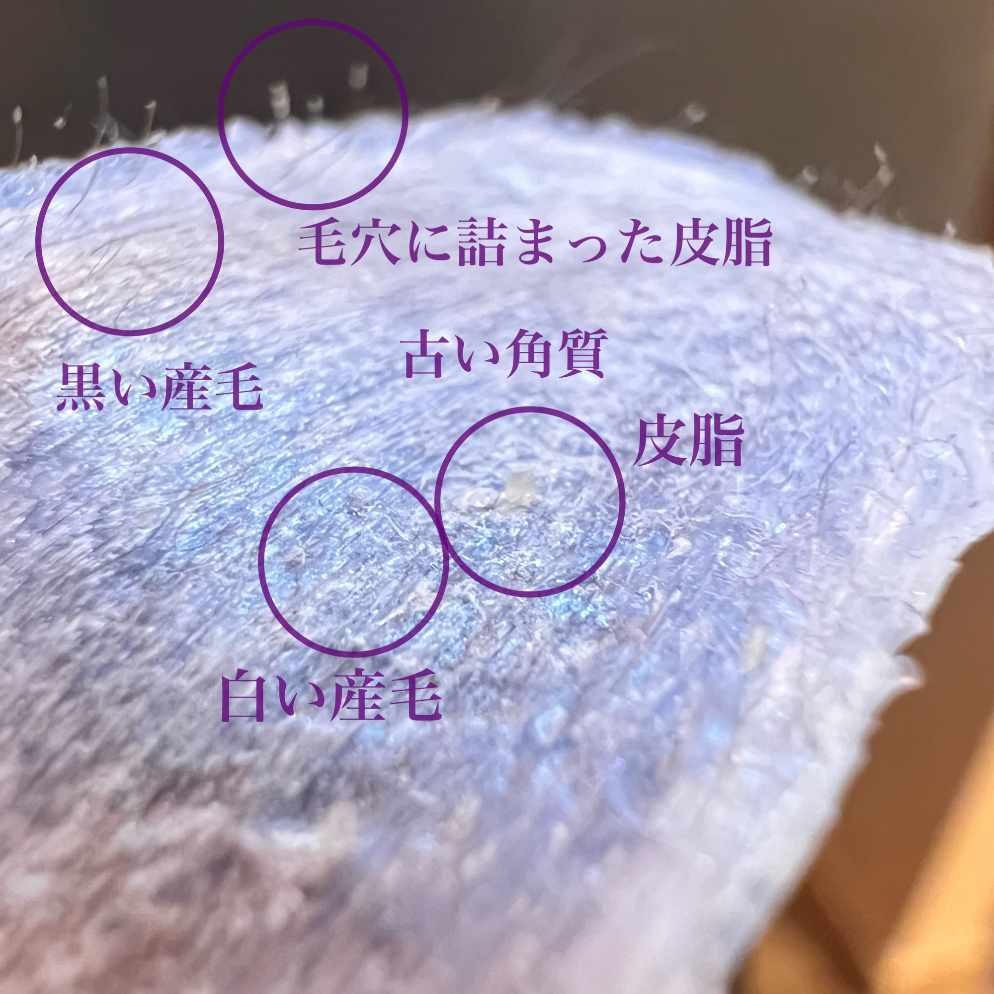 マリムーブフェイシャルワックス】ってどのくらいの頻度でやるの