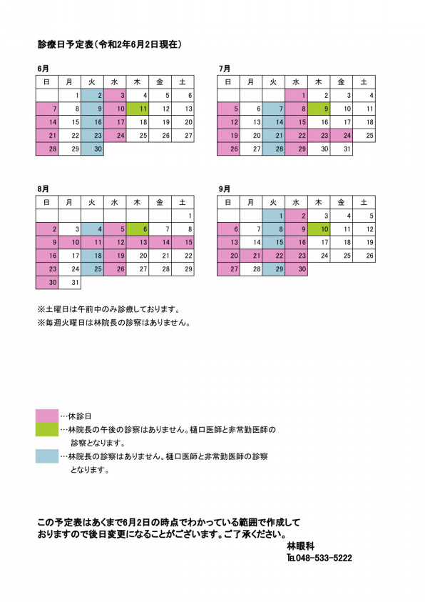 年6月 年10月診療日予定表 林眼科 埼玉県 熊谷市 籠原