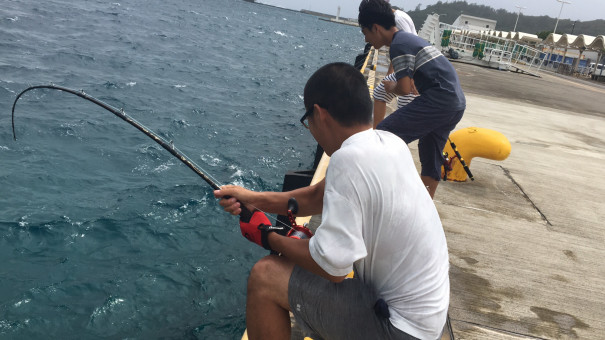 小笠原諸島 7日目 Yumi Kayo 気まぐれblog 小笠原諸島 7日目 Yumi Kayo 気まぐれblog
