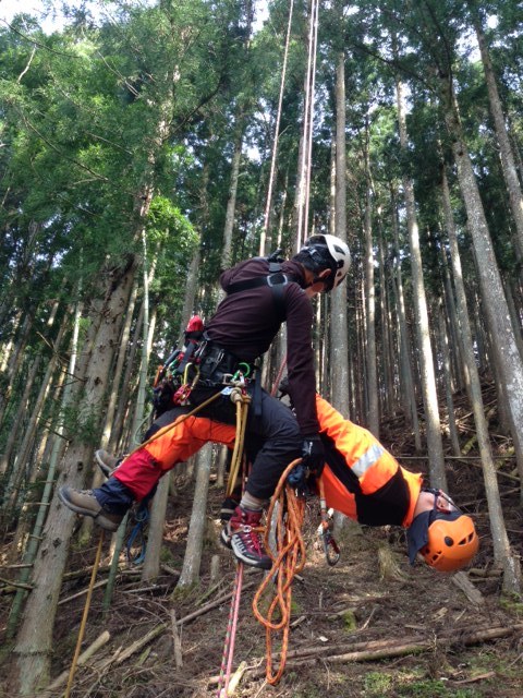 ツリークライミングロープ 特殊伐採/クライミング