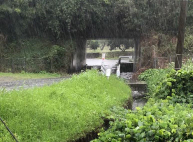 雨が降り続いています 藤本表具店