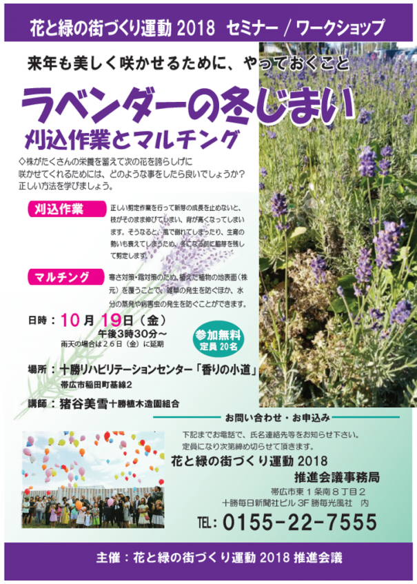 ラベンダーの冬じまい 老健かけはし ブログ ラベンダーの冬じまい 老健かけはし ブログ