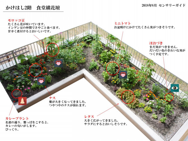花壇ガイド作りました 老健かけはしブログ 花壇ガイド作りました 老健かけはしブログ