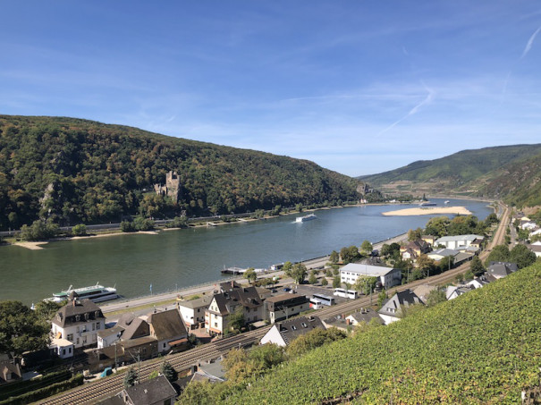 ライン川沿いの古城 を眺めながら歩くラインシュタイク Rheinsteig ドイツワインの産地 リューデスハイム Rudesheim からロルヒ Lorch の村 Les Falaises De Gres