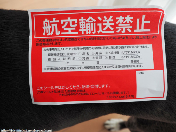 沖縄でも鳥貴族を楽しむ方法があるってよ ビビり犬 一徹の沖縄よんな 日記２