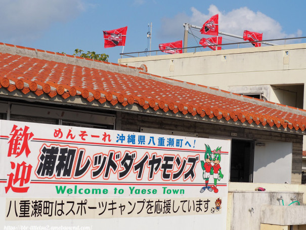 浦和レッズの沖縄キャンプに行ってきたよ ビビり犬 一徹の沖縄よんな 日記２