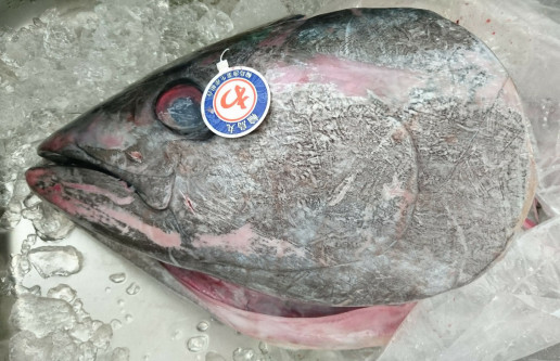 豪快 境港生本マグロの 兜焼き に挑んだ のんきーのはらぺこ日記 おかわり 鳥取県で食べます 豪快 境港生本マグロの 兜焼き に挑んだ のんきーのはらぺこ日記 おかわり 鳥取県で食べます