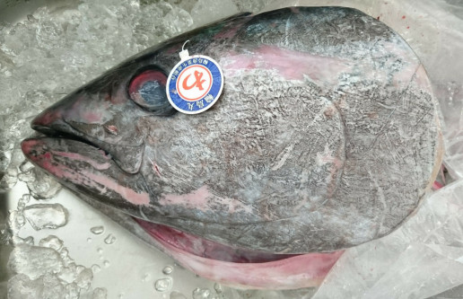 豪快 境港生本マグロの 兜焼き に挑んだ のんきーのはらぺこ日記 おかわり 鳥取県で食べます