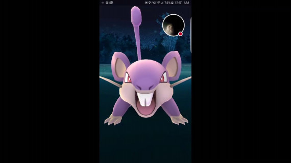 ポケモンgoをプレイしながら池に落ちる瞬間 Silly