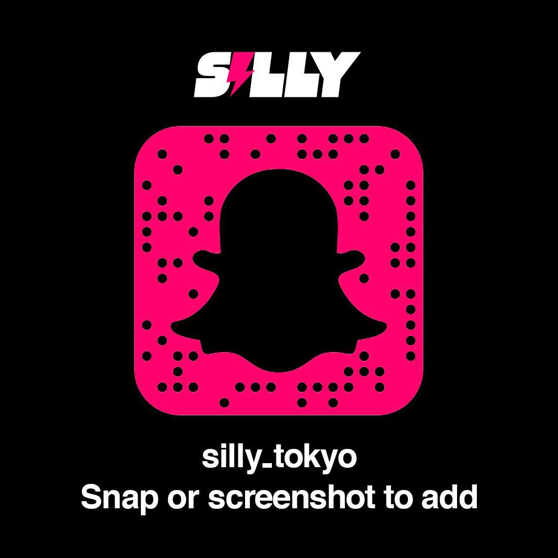Snapchat スナップチャット の使い方 犬 虹 顔交換 レンズ編 Silly