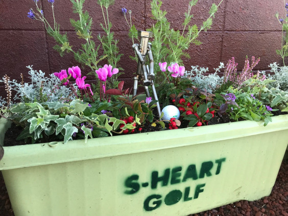 プランター植え替え2019冬 S Heart Golf プランター植え替え2019冬 S Heart Golf