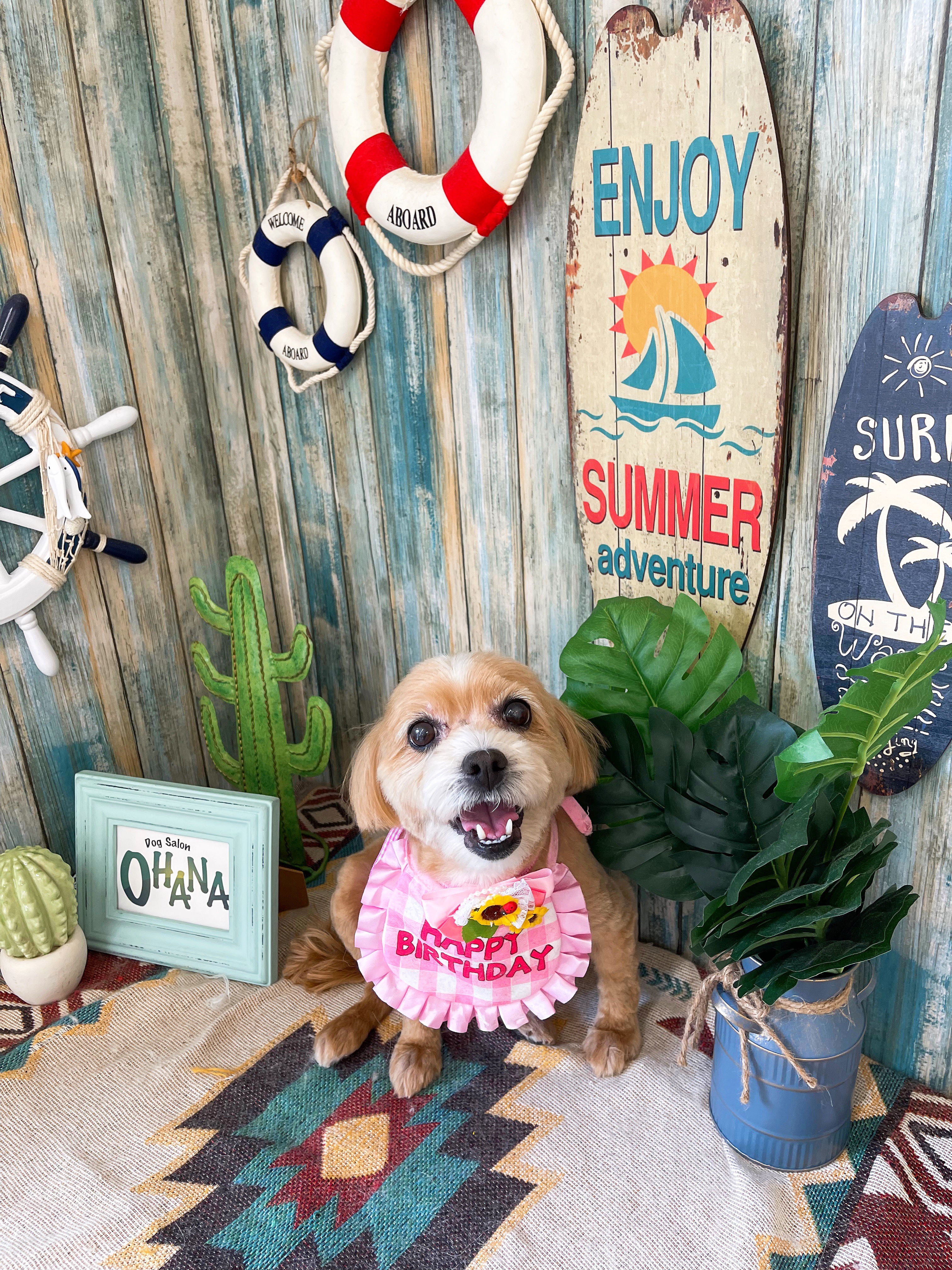 ☆7月24日(木) | Dog salon OHANA