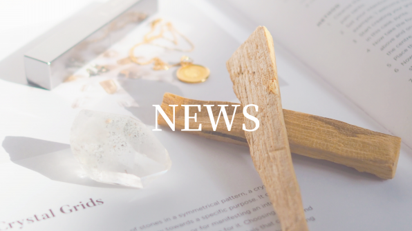 お知らせ | Mai Sakamoto