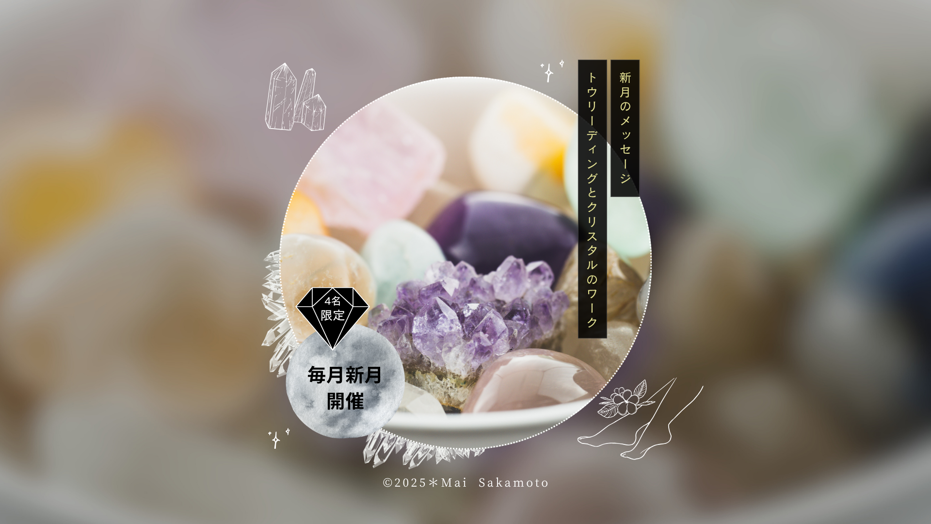 お知らせ | Mai Sakamoto