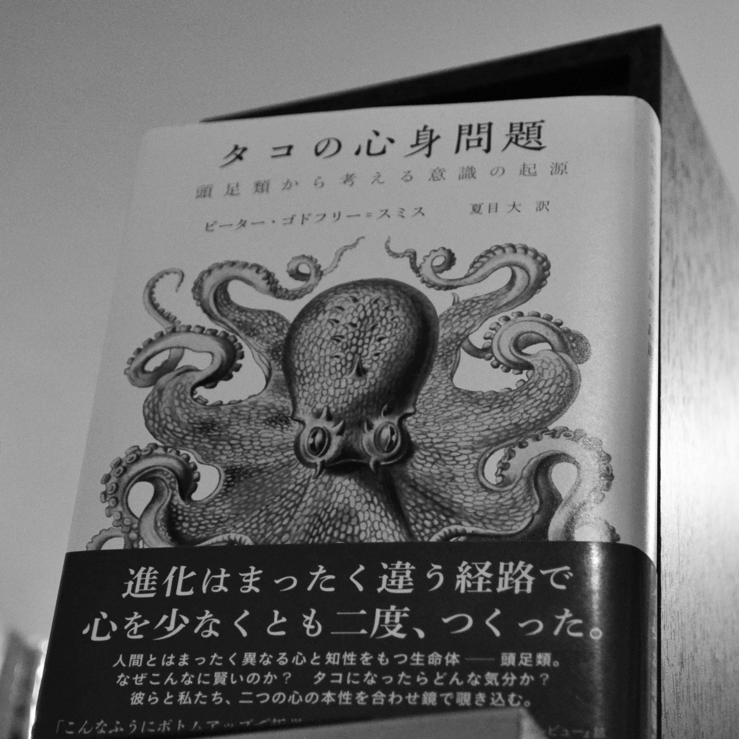 タコの心身問題 読書会 古本屋ブックスパーチ