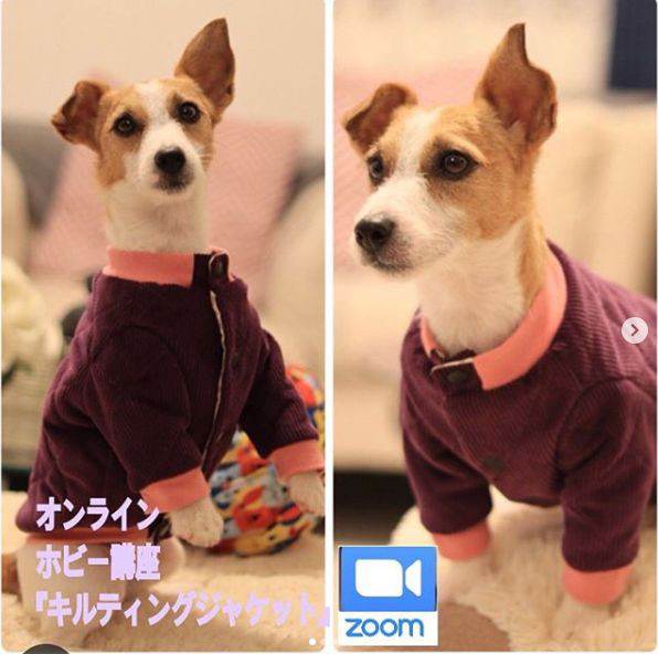 07 オンライン ホビー講座 犬服教室 Hapimo Shares ハピモシャレス 東京 神奈川 千葉 日暮里 横浜 鎌倉 藤沢 平塚 山下公園 千葉