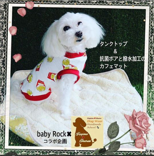 2021/11/10(水) 犬服作り体験講座@日暮里 Baby Lock