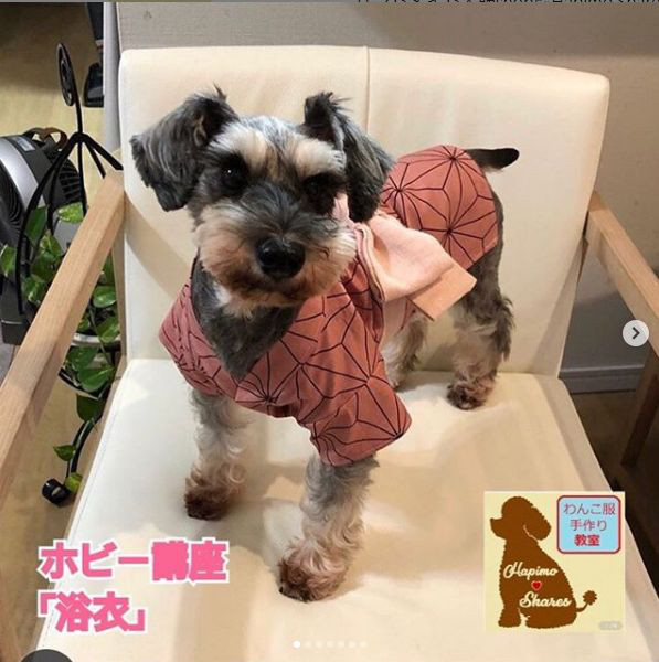 09 01 川崎教室 ゆかた講座 犬服教室 Hapimo Shares ハピモシャレス 東京 神奈川 千葉 日暮里 自由が丘 横浜 鎌倉 藤沢 平塚 山下公園 千葉 オンライン教室